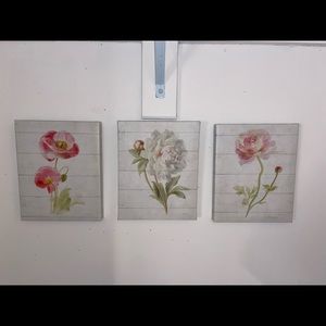 Set of 3 - 10x8 flower canvases